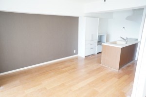 ハイラーク三郷リノベーション工事 (7)