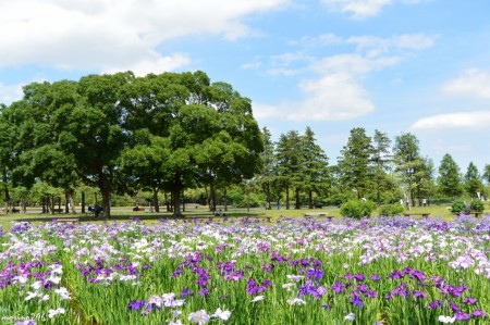 水元公園