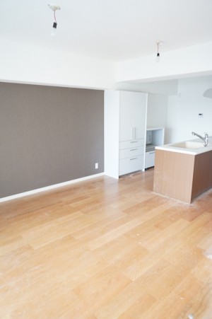 ハイラーク三郷リノベーション工事 (6)