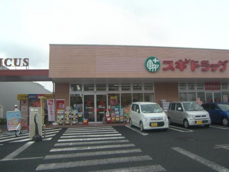 スギドラッグ野田つつみ野店