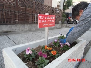 【埼玉県三郷市】花いっぱい運動松井産業 (6)