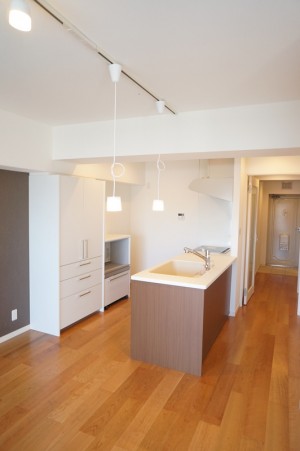 【埼玉県三郷市】分譲マンションハイラーク三郷 (1)