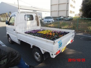 【埼玉県三郷市】花いっぱい運動松井産業 (1)