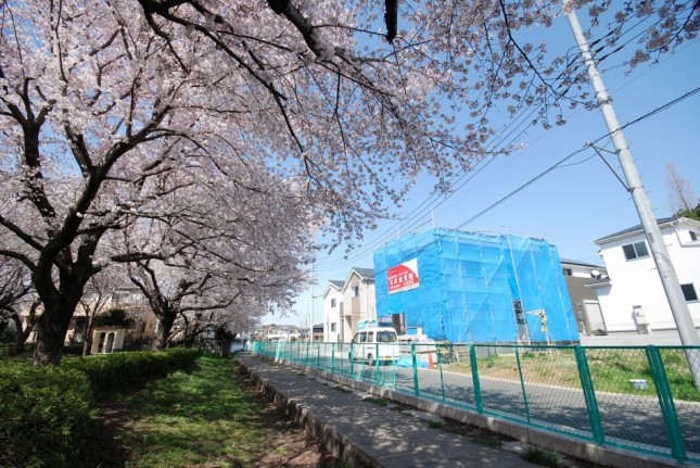 埼玉県川口市Ｈ様邸イシンホー? 注文住宅新築現? ?。近くの公園の桜が満開です。