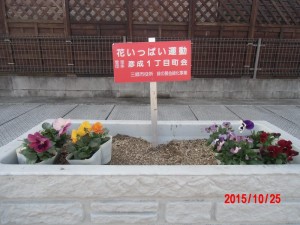 【埼玉県三郷市】花いっぱい運動松井産業 (5)