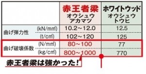 赤王者梁の強さ