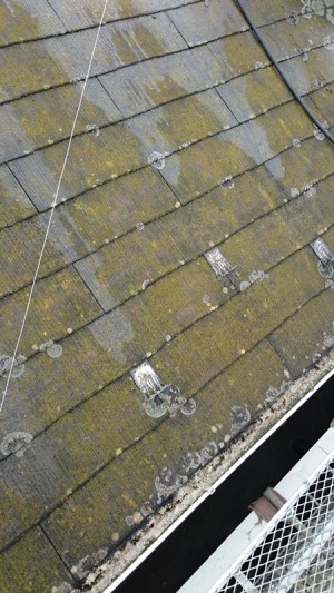 【三郷市】エムタウンハイツ高圧洗浄 (2)