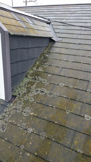 【三郷市】エムタウンハイツ高圧洗浄 (1)