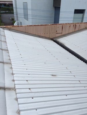 【埼玉県八潮市】A様工場屋根ガイナ塗装 (5)