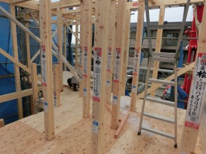 【川口市】I様邸上棟確認 (4)