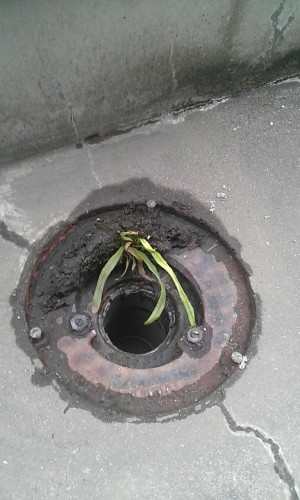 【三郷市】S様邸防水 (6)