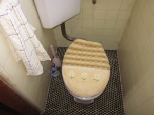 【吉川市】O様邸トイレ改修工事