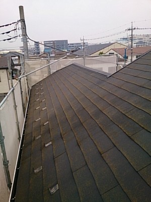 【三郷市】M様邸高圧洗浄 (1)